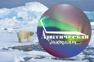 Арктический диктант 2021: ответы на вопросы